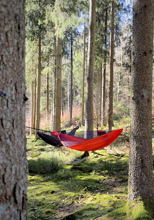 2 SurvivalZip Hängematten aufgebaut im Wald