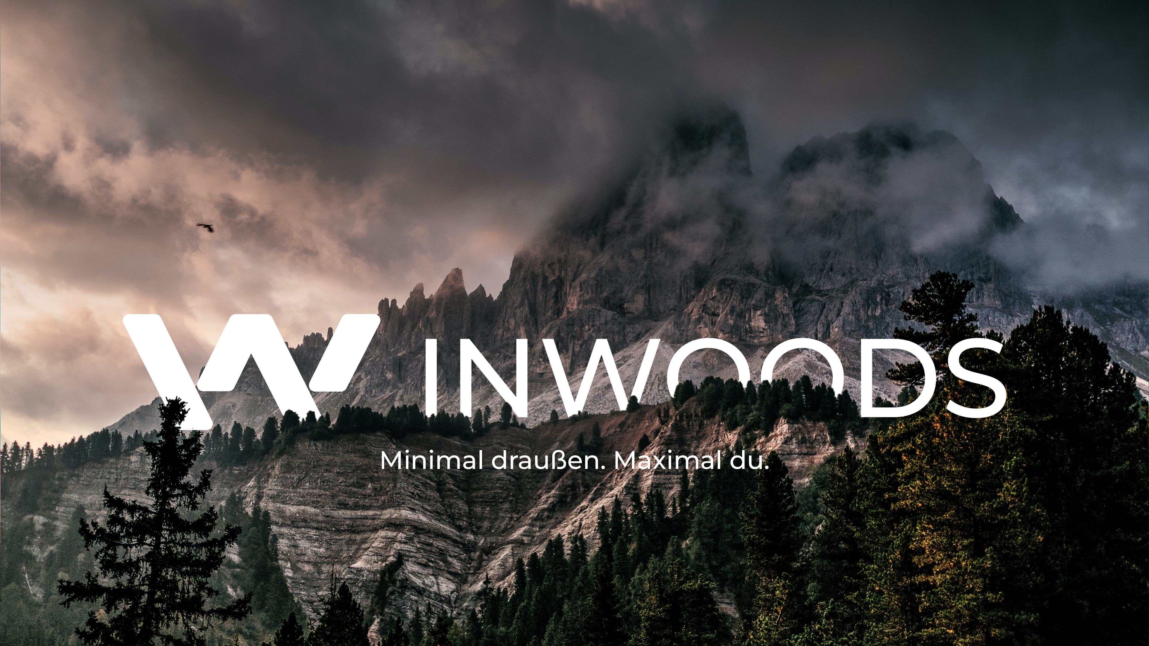 InWoods - Bild von Wald mit Logo